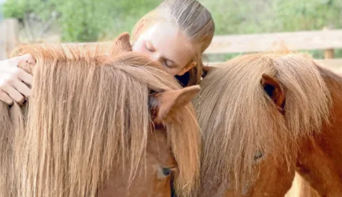 Hammberger Hof RNK 26 11 2025